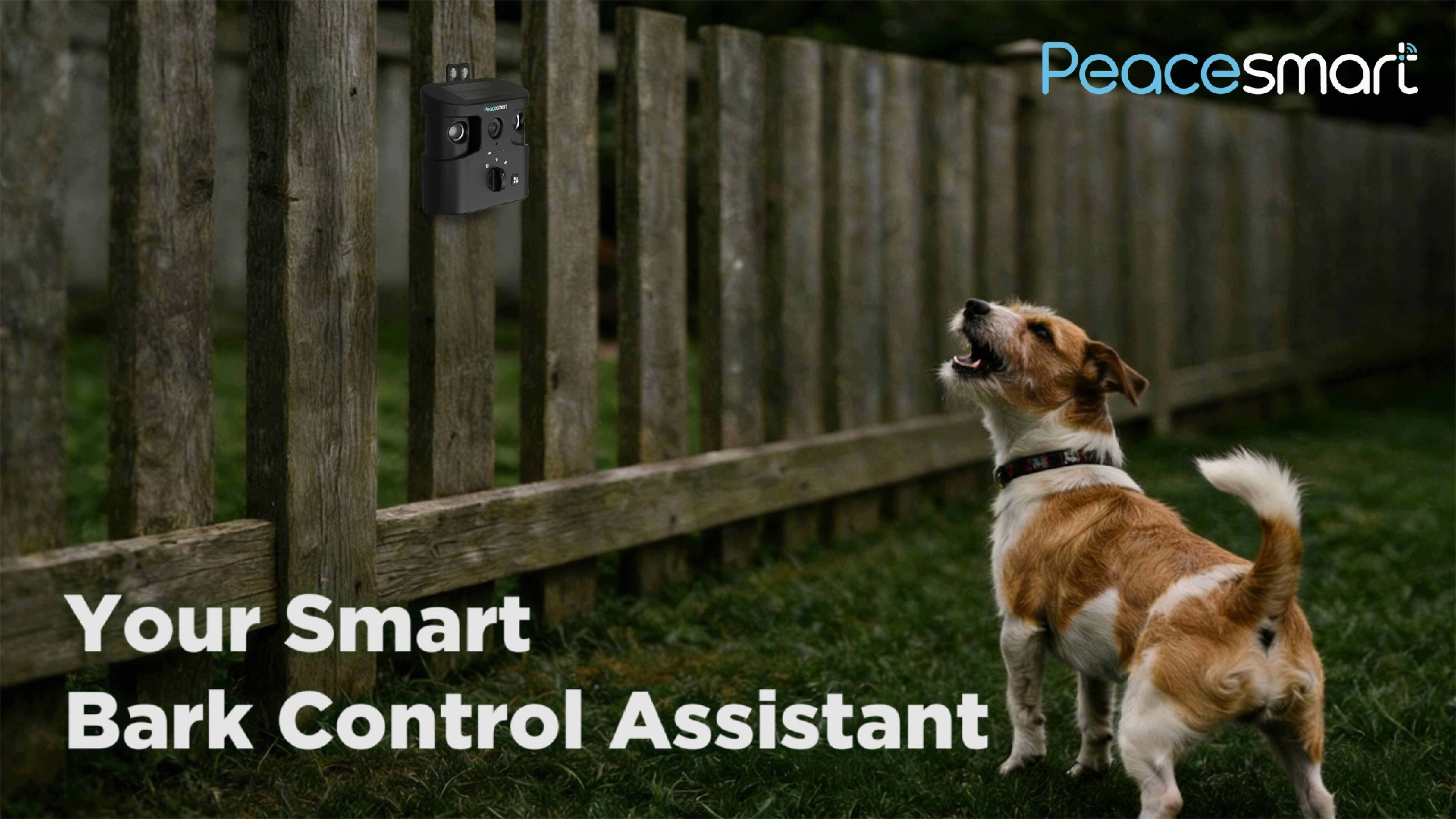 Smart ultrasonic dog training clicker