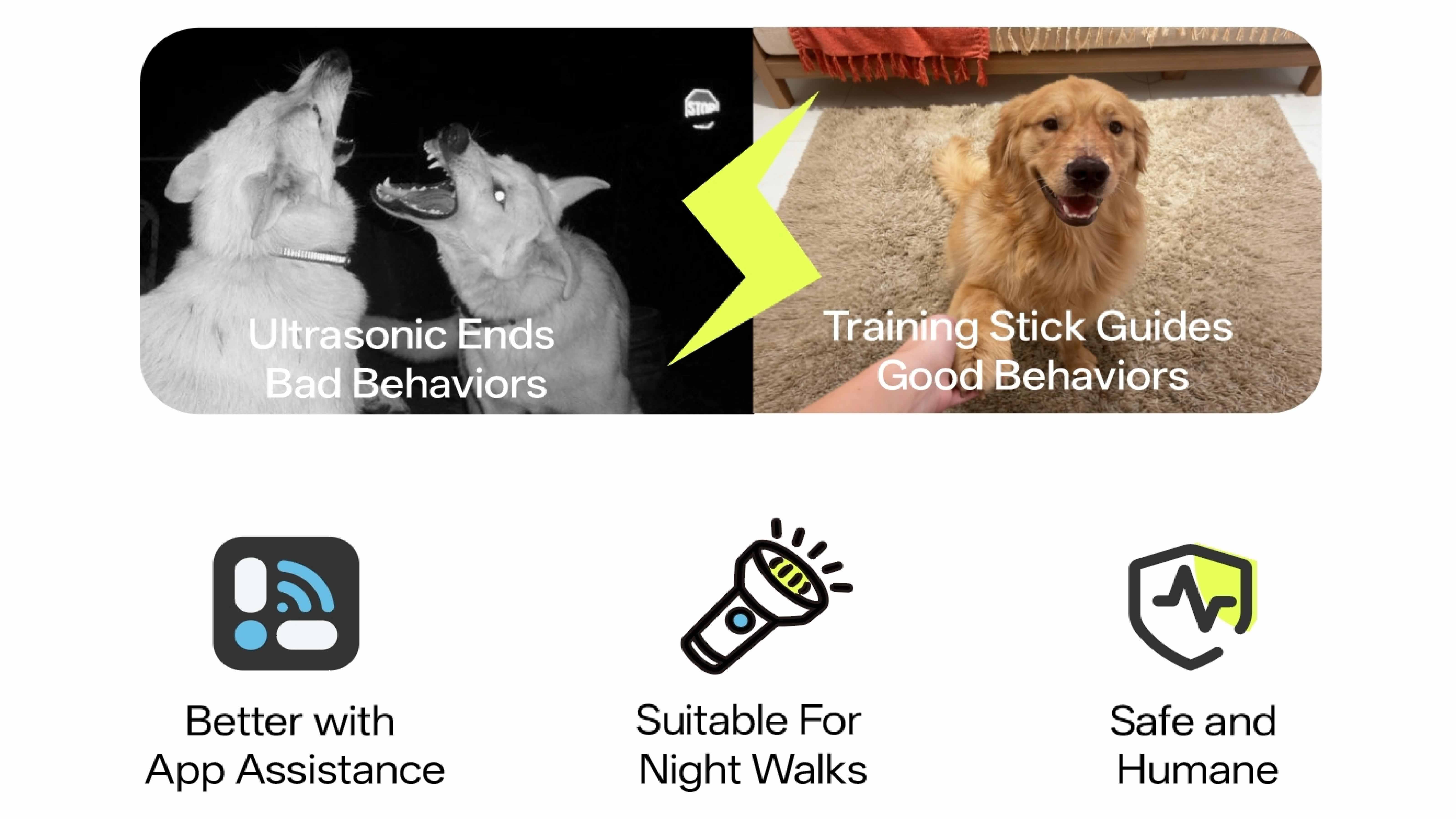 Smart ultrasonic dog training clicker