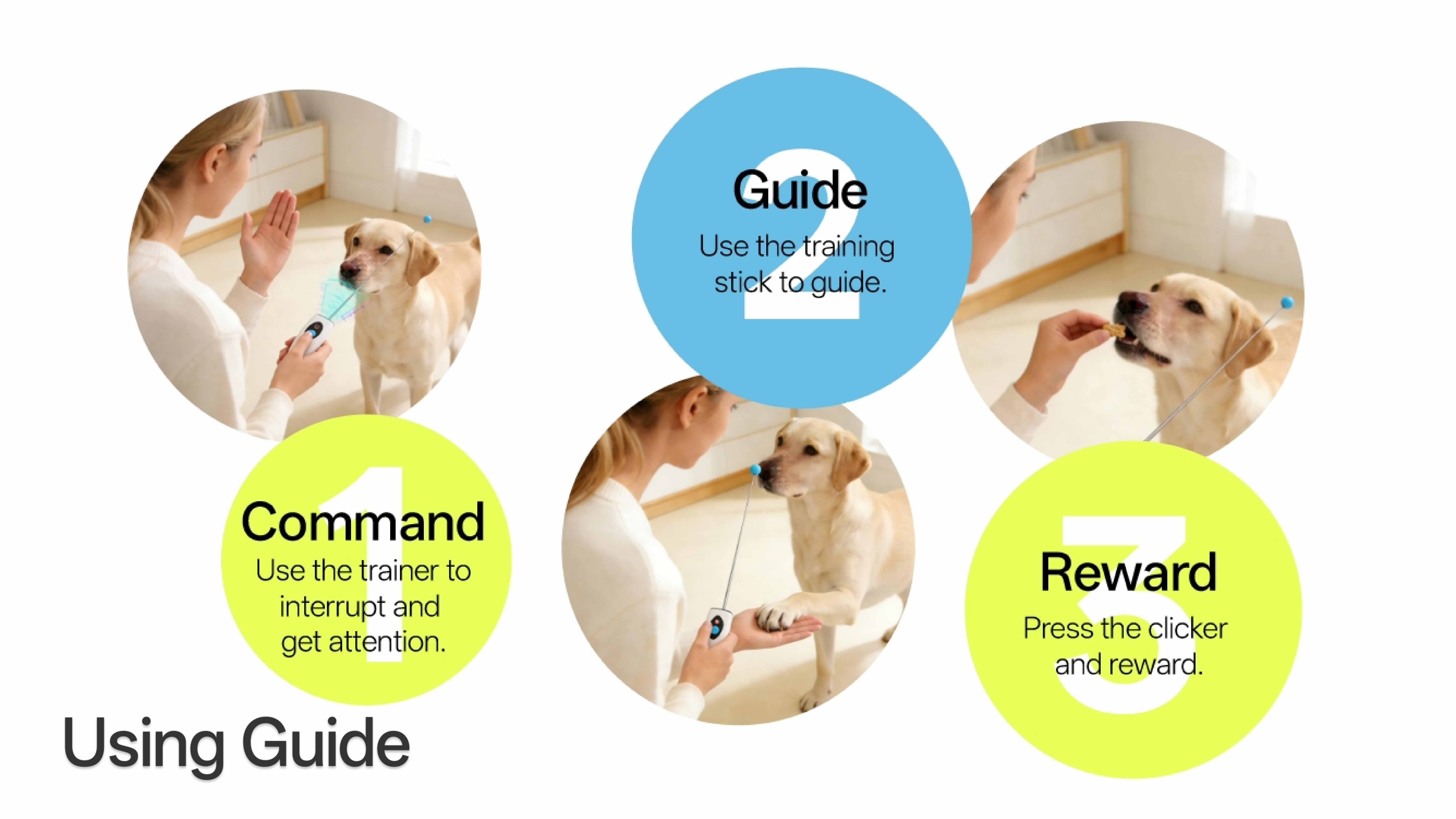 Smart ultrasonic dog training clicker