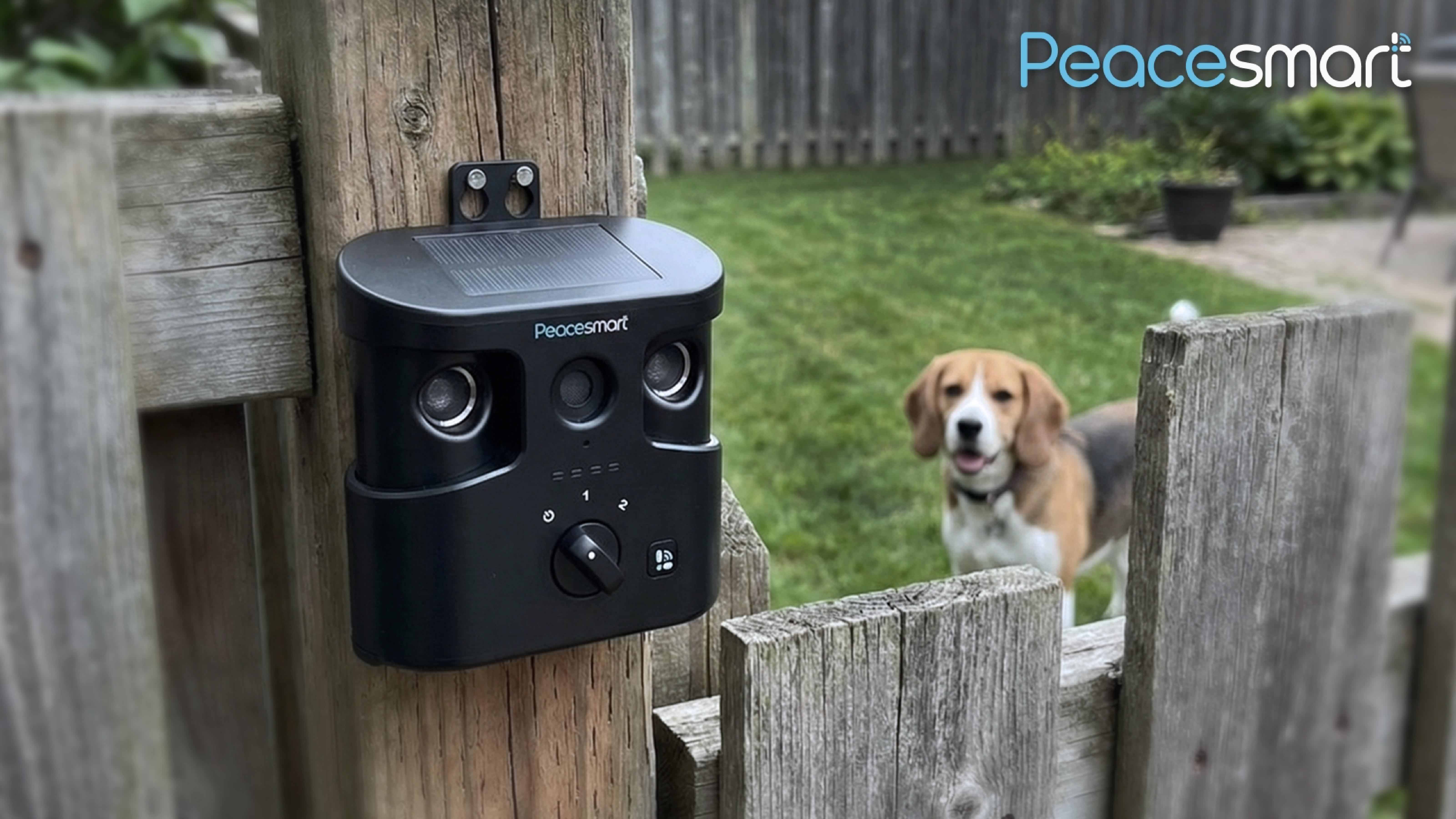 Smart bark control assistant